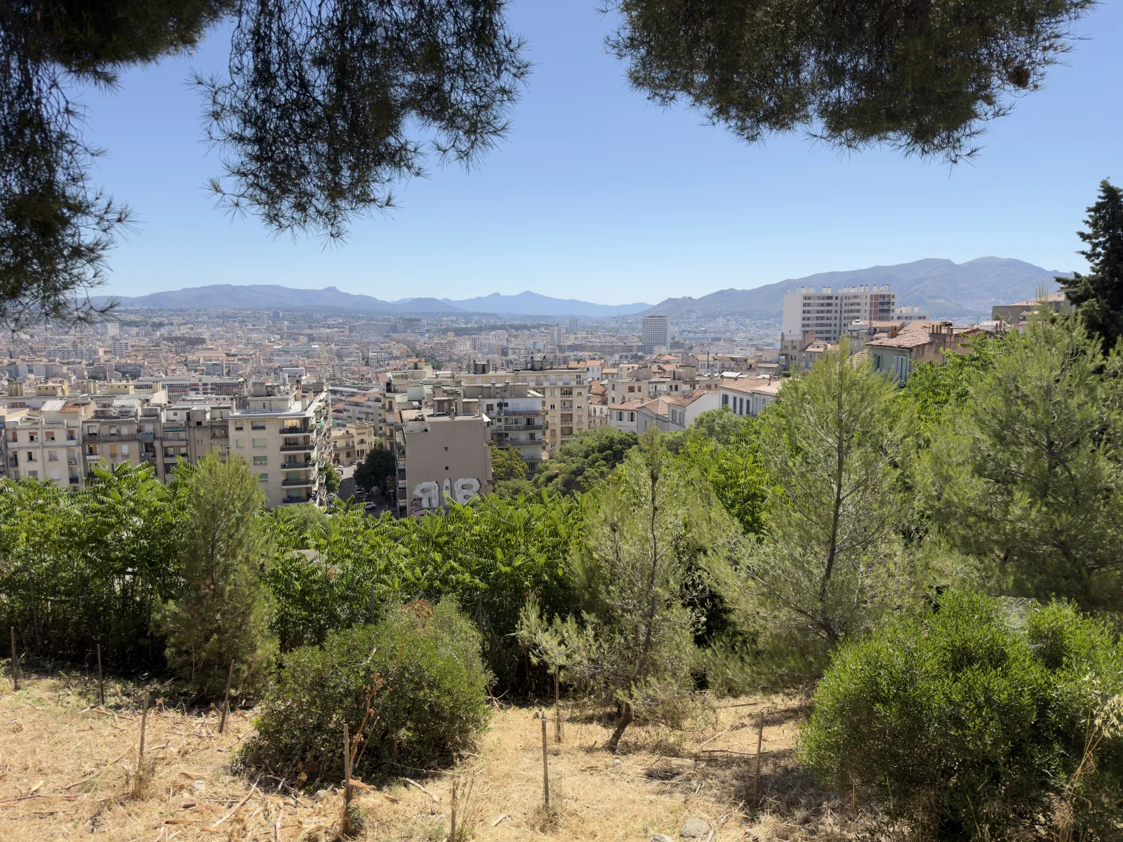 Vue large de Marseille entre quartiers, arbres et reliefs.