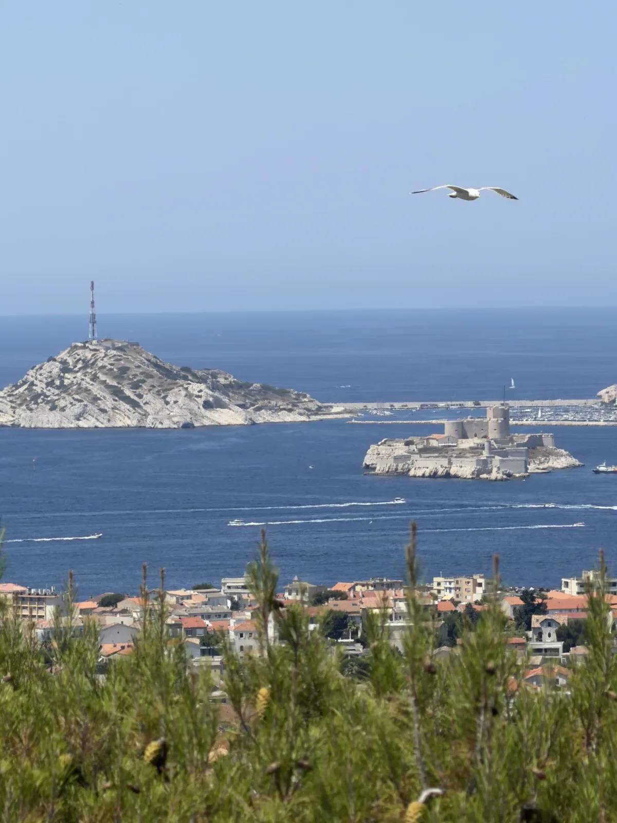 Château d’If et îles du Frioul vus depuis Notre-Dame de la Garde.